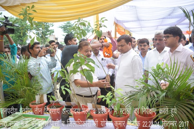Image Gallery