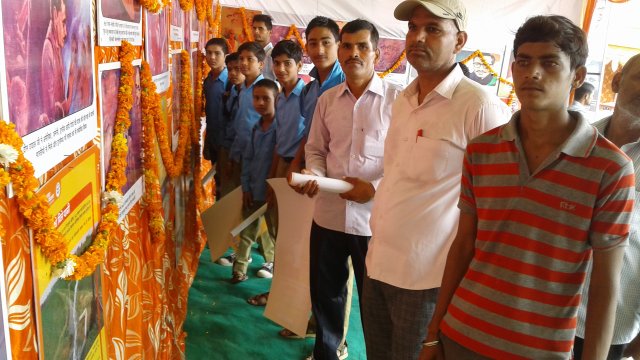Image Gallery
