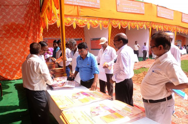 Image Gallery