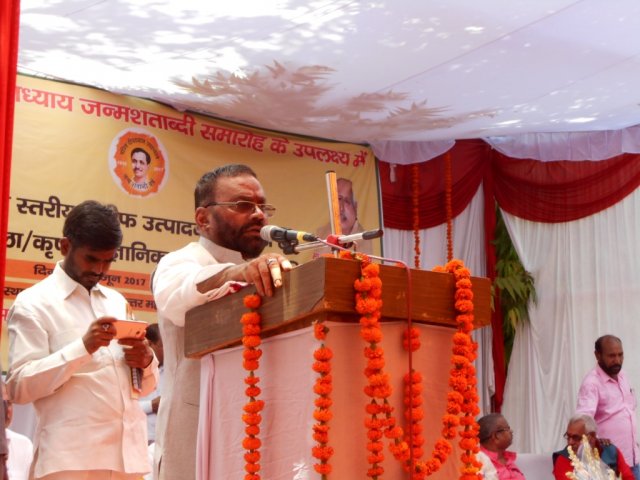 Image Gallery
