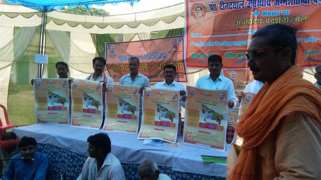 Image Gallery