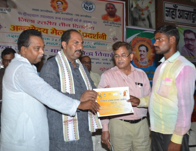 Image Gallery