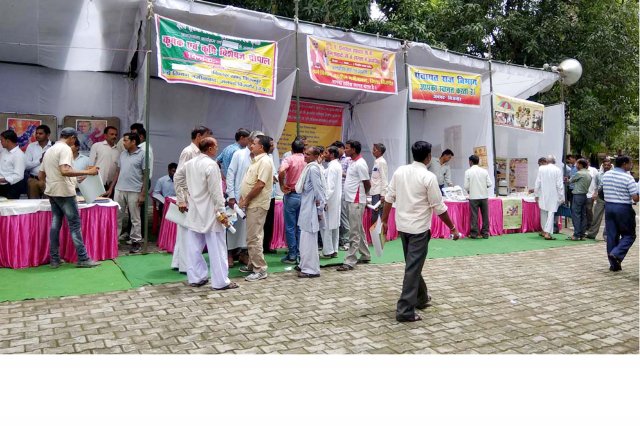 Image Gallery