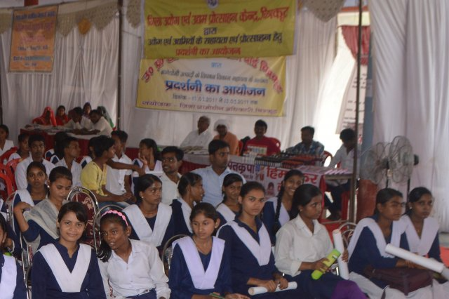 Image Gallery