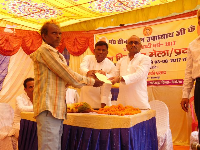 Image Gallery