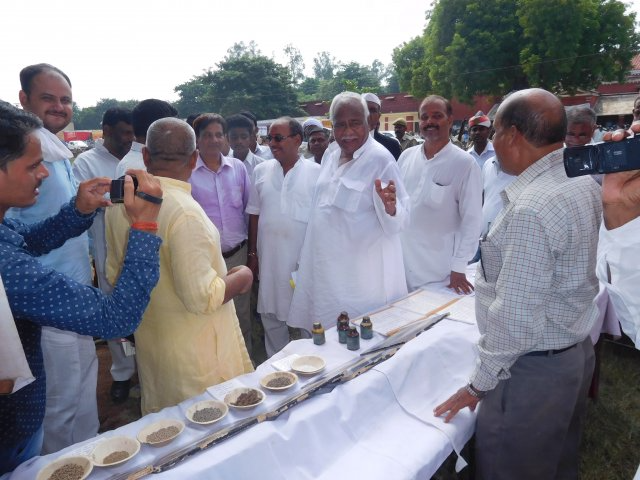 Image Gallery