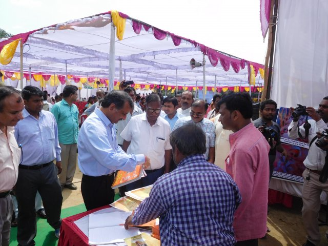 Image Gallery