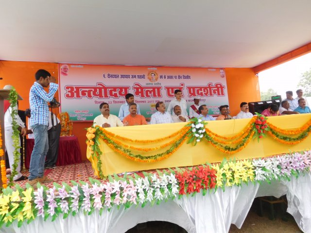 Image Gallery