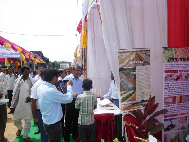 Image Gallery