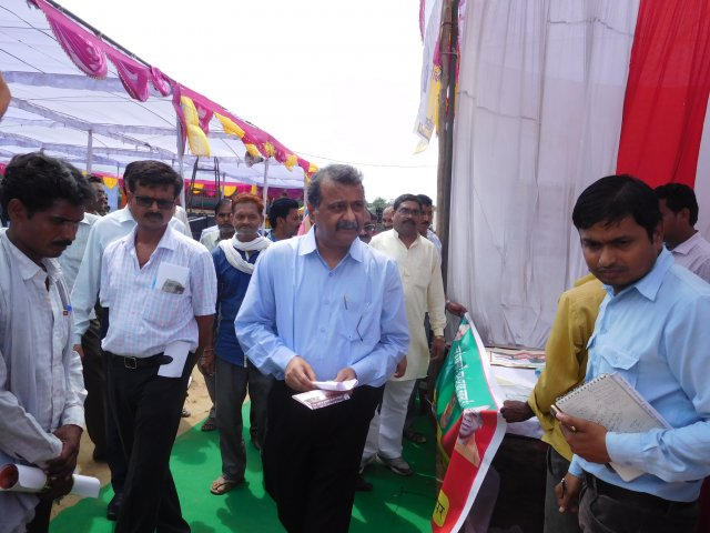 Image Gallery