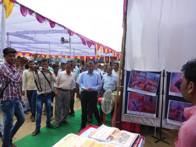 Image Gallery