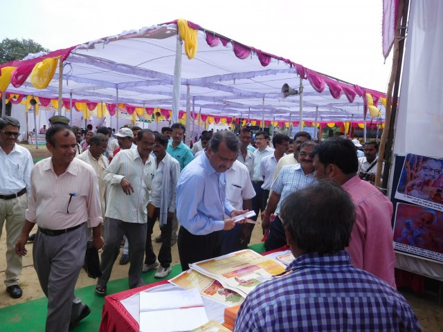 Image Gallery