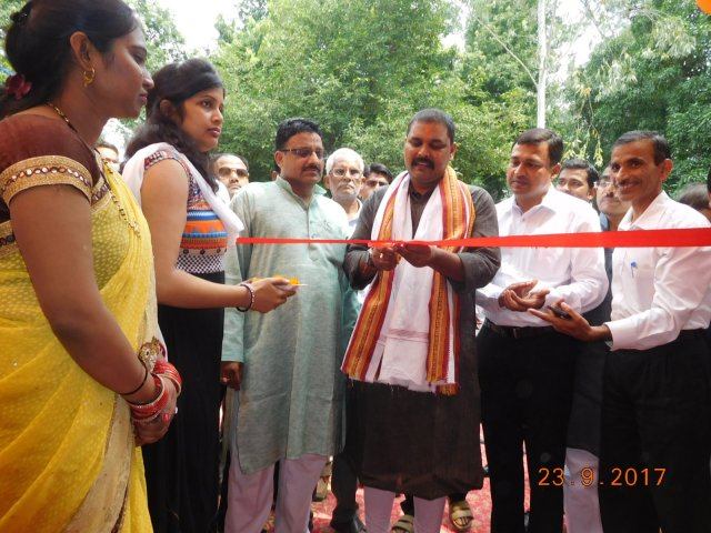 Image Gallery