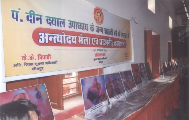 Image Gallery