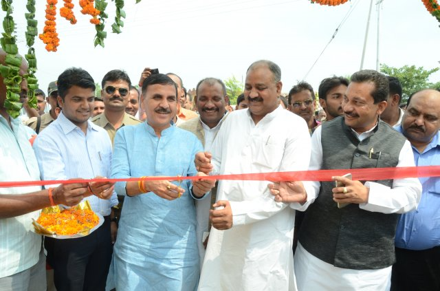 Image Gallery