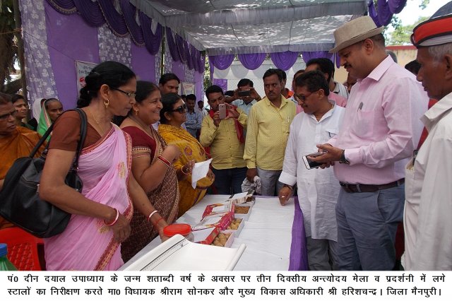 Image Gallery
