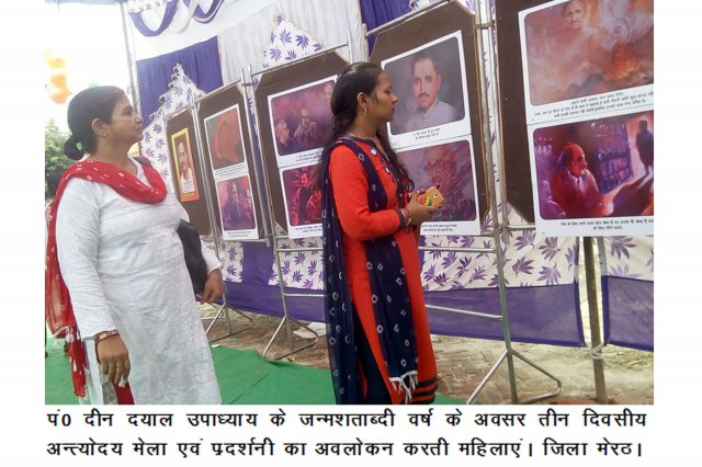 Image Gallery