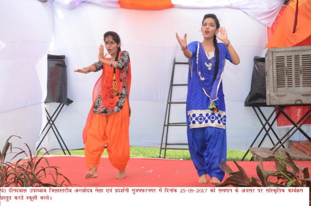Image Gallery