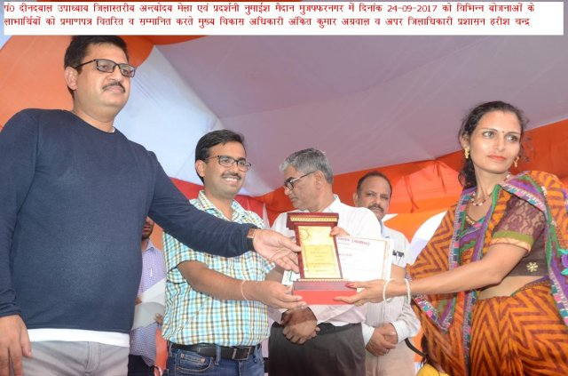 Image Gallery