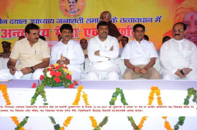 Image Gallery