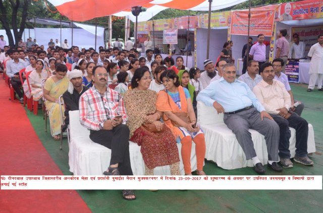 Image Gallery
