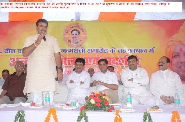 Image Gallery