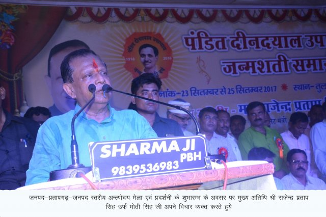 Image Gallery