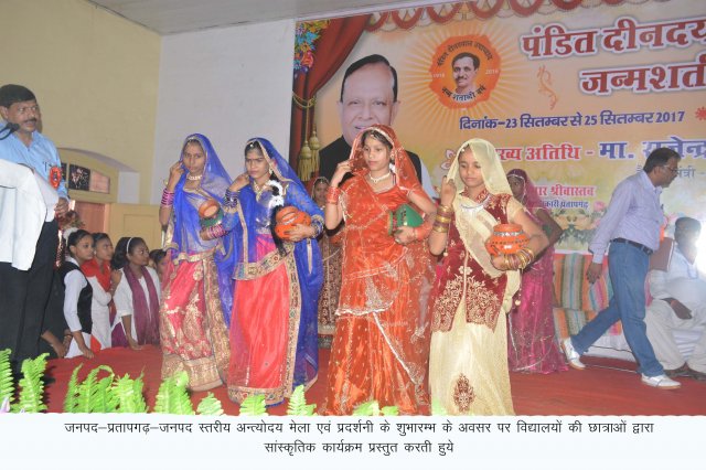 Image Gallery