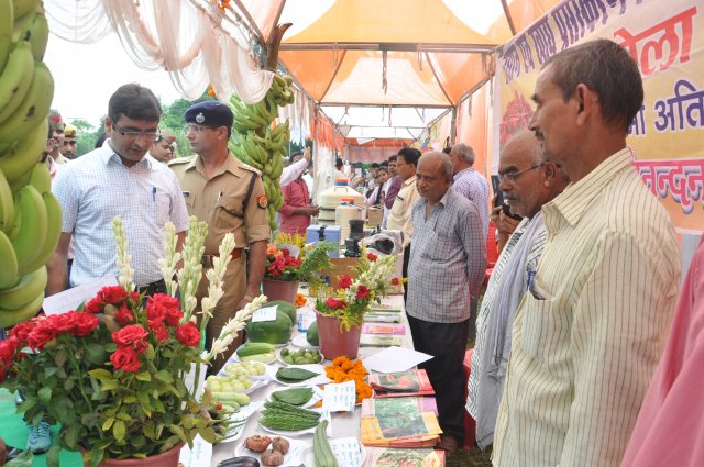 Image Gallery