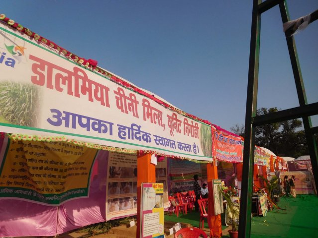 Image Gallery