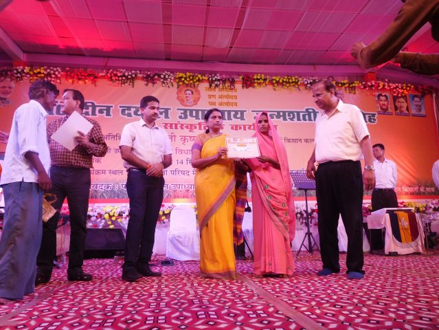Image Gallery