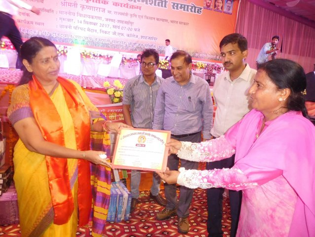 Image Gallery