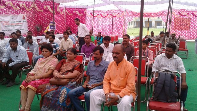 Image Gallery