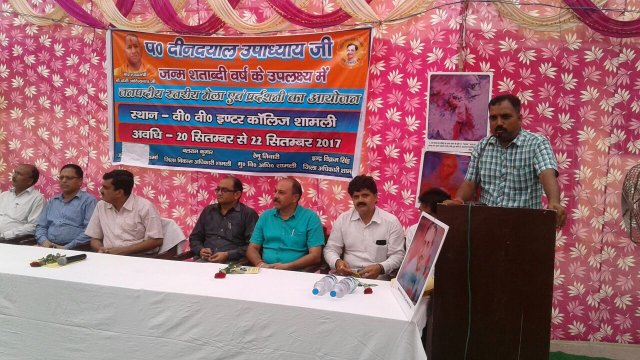 Image Gallery
