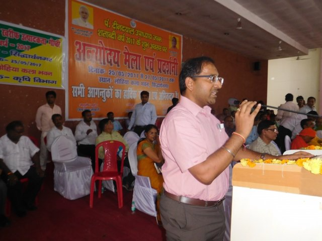 Image Gallery
